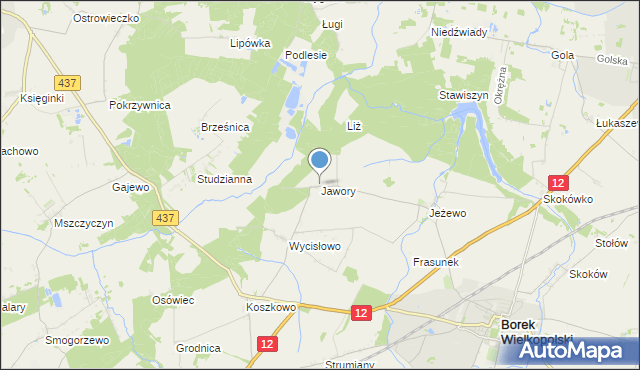 mapa Jawory, Jawory gmina Borek Wielkopolski na mapie Targeo